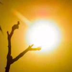 El Niño de forte intensidade deve elevar ainda mais as temperaturas e trazer calor extremo a Minas Gerais