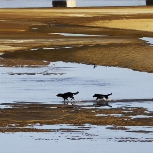Primavera começa com previsão de calor e chuva irregular no Espírito Santo