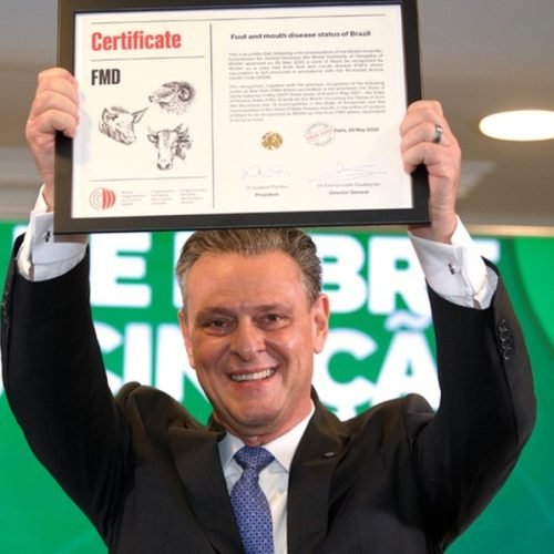 Brasil recebe certificado de país livre de febre aftosa sem vacinação em Paris