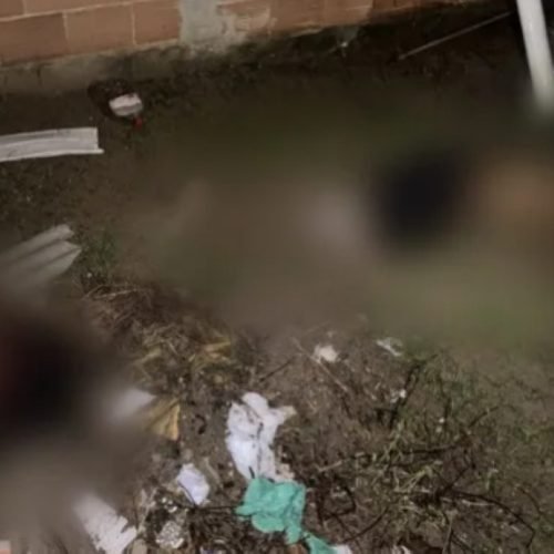 Tio e sobrinho são mortos em quintal de casa em Campos