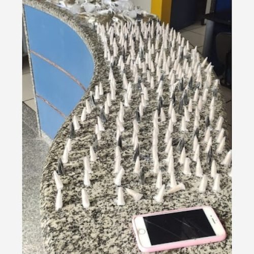 PM apreende grande quantidade de drogas após mulher cair de moto na BR-356