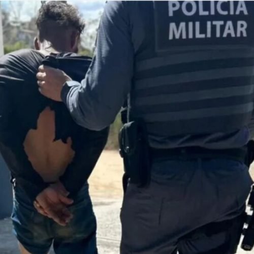 Homem é preso por assassinato com golpe de macho em Afonso Cláudio (ES)