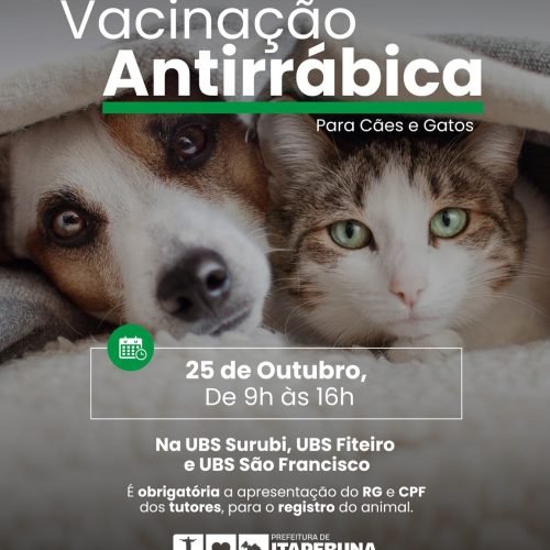 Itaperuna (RJ) realiza vacinação antirrábica para cães e gatos neste dia 25