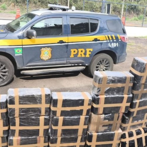 PRF apreende quase 800 kg de maconha em Juiz de Fora (MG); motorista é preso
