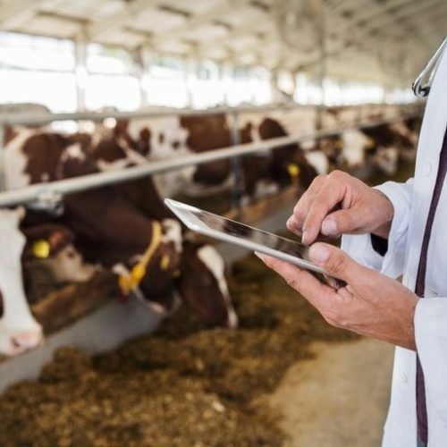 Estudante de Itaperuna (RJ) é denunciado ao MP por suspeita de exercício ilegal da Medicina Veterinária