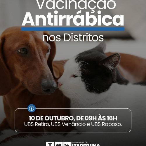 Itaperuna realiza vacinação antirrábica para cães e gatos nos distritos