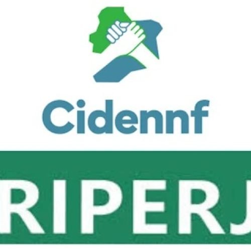 CIDENNF e FRIPERJ realizam reunião para firmar acordo de cooperação técnica