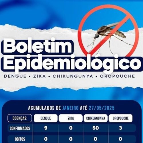 Italva tem 3 casos confirmados de oropouche e 50 de chikungunya