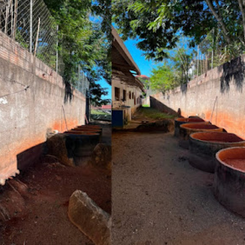 Risco Estrutural em Muro Força Interdição e Redução de Atendimentos na APAE de Italva (RJ)