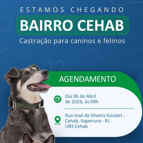 Castração gratuita em Itaperuna: Agendamento acontece na próxima segunda (06) na UBS Cehab