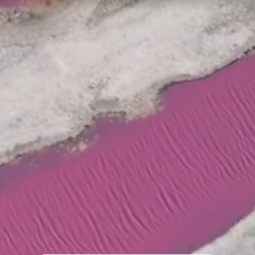 Imagens de drone revelam coloração rosa das Salinas Perynas, em Cabo Frio