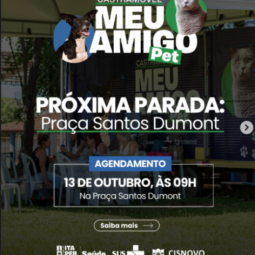 Prefeitura de Itaperuna (RJ) abre novo agendamento para castração gratuita de cães e gatos