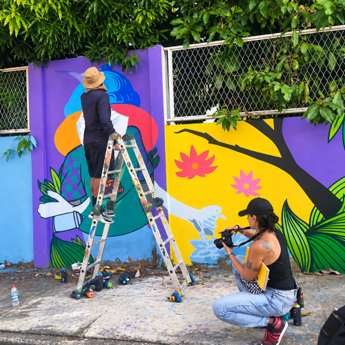 Grafite transforma muros de escola municipal em Itaperuna (RJ)