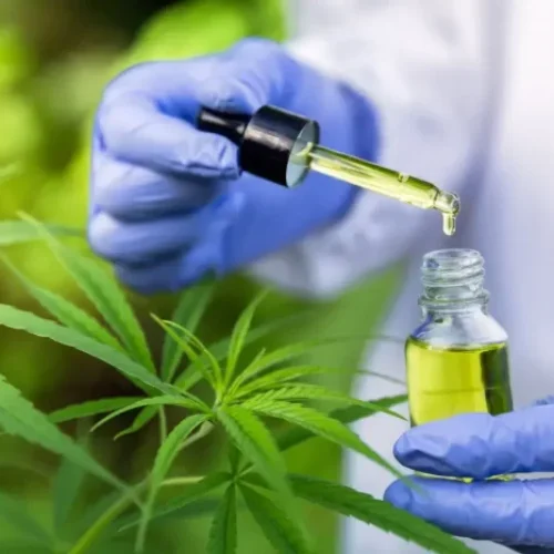 Distribuição de medicamentos à base de cannabis é autorizada em Juiz de Fora (MG)