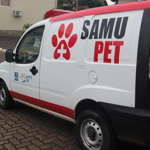 Belo Horizonte vai ganhar ambulâncias do SAMU para atendimento de cães e gatos