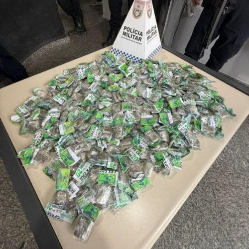 Polícia apreende 337 tabletes de maconha no Morro do Cruzeiro, em Miracema (RJ)