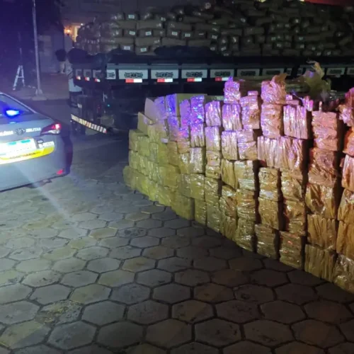 Polícia apreende quase duas toneladas de maconha escondidas em carga de tapioca em SP