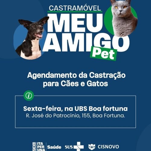 Prefeitura de Itaperuna abre agendamento para castração gratuita de cães e gatos