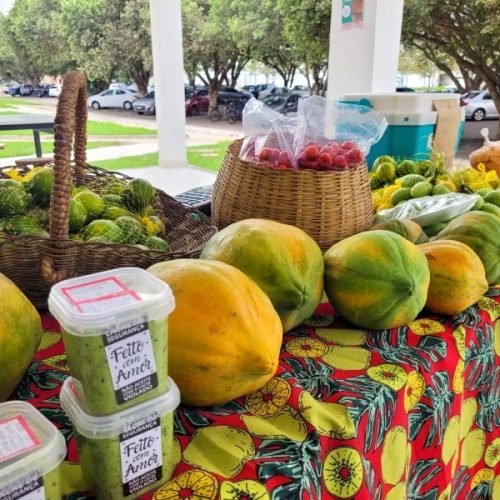 Italva (RJ) recebe 4ª feira regional de produtores agroecológicos nesta terça (30)