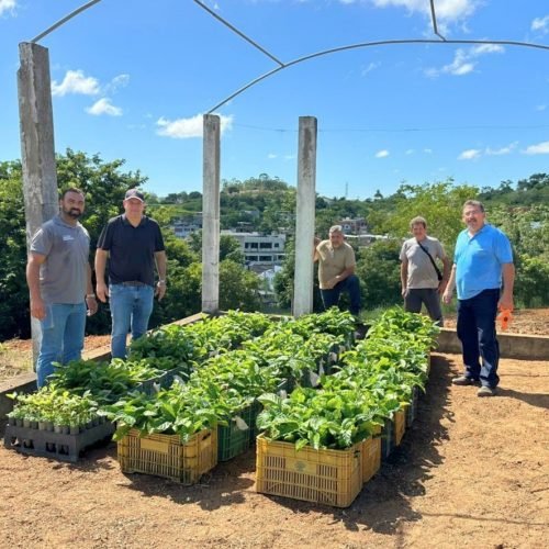 Italva e UFES iniciam pesquisa com 42 clones de café conilon para impulsionar agricultura local