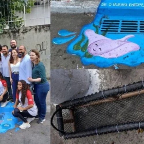 Alunos de Escola Pública de Vila Velha criam “Ecobueiro” para combater alagamentos
