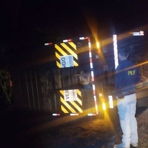 Carreta com 72 bois tomba na BR-116 em Leopoldina; motorista fica ferido