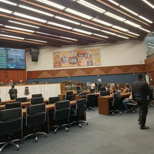 CMBH aprova projeto que institui Carteira de Identificação da Pessoa com Deficiência