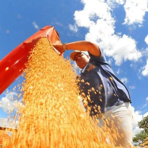 PIB cresce 1,4% no 1º trimestre de 2025 em relação ao 4º de 2024