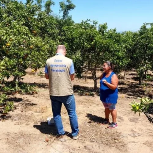 Dia Mundial do Agrônomo destaca atuação da Defesa Sanitária Vegetal na proteção da agricultura no RJ