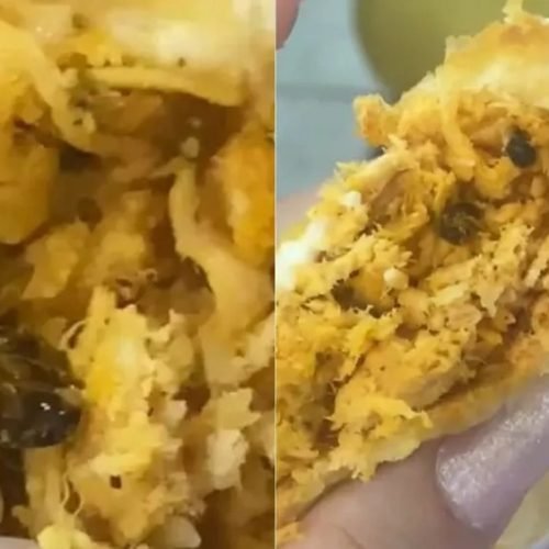 Jovem denuncia lanchonete após encontrar barata viva em pastel no Rio de Janeiro: ‘Vou ter que ir para o hospital’