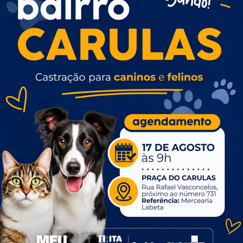 Bairro Carulas recebe ação de castração gratuita para cães e gatos em Itaperuna (RJ)