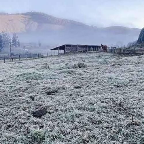 Sul de Minas registra frio intenso e geada transforma paisagem em cenário congelado