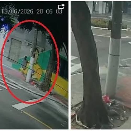 Mulher é flagrada usando fezes de cachorro para vandalizar pintura de Bolsonaro em Vitória (ES)