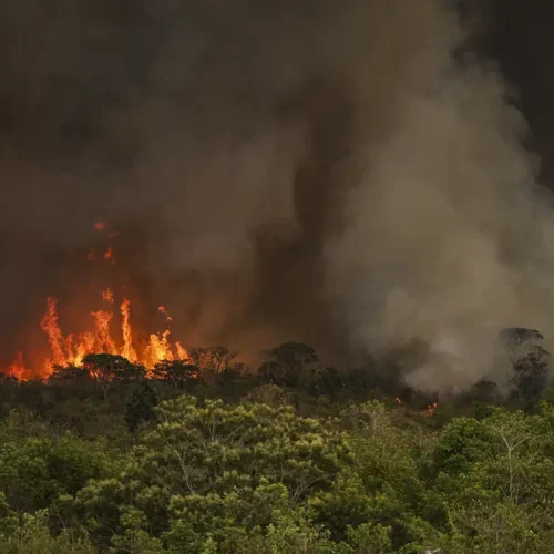 Câmara aprova aumento de pena para crimes de incêndio em florestas