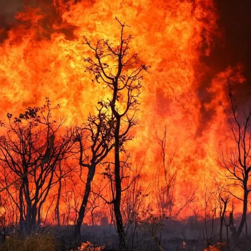 Noroeste RJ retorna ao risco “muito alto” de incêndio florestal