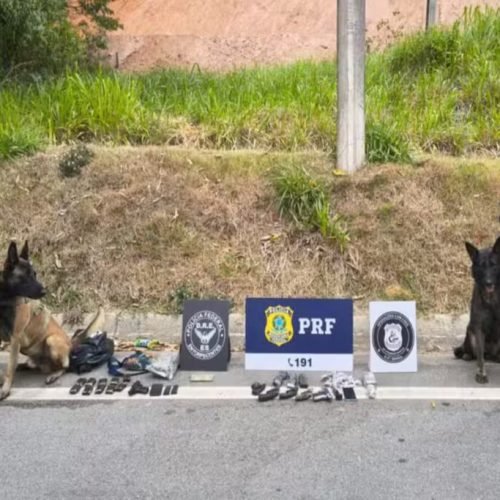 Grávida e adolescente são flagrados transportando drogas e armas em ônibus na BR-101, no Sul do ES