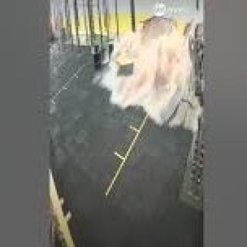 Chuva forte derruba parede de academia e provoca alagamentos em São Paulo