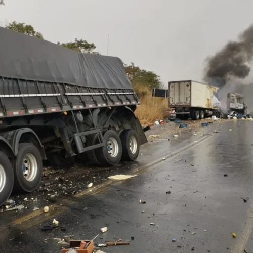 Motorista morre após caminhão invadir contramão e provocar incêndio na BR-251, em Minas Gerais
